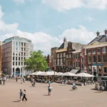 zomer groningen stella dekker fotografie 176