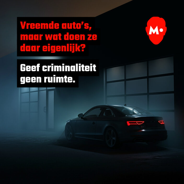 afbeelding bericht 4 fase 2